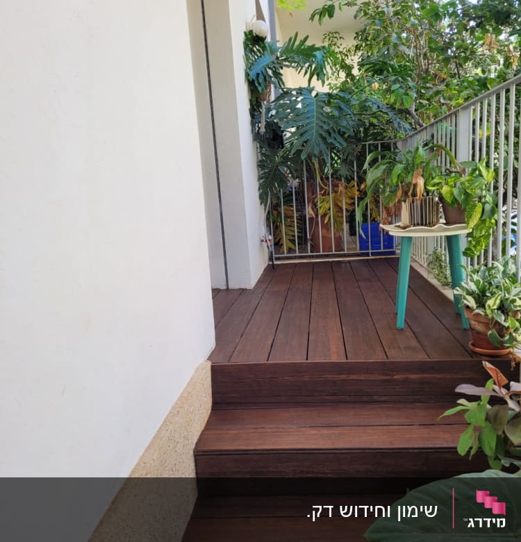 צמחים בעציצים על רצפת עץ במרפסת